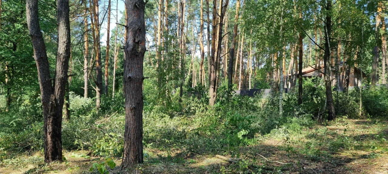 Блиставица 24 сотки