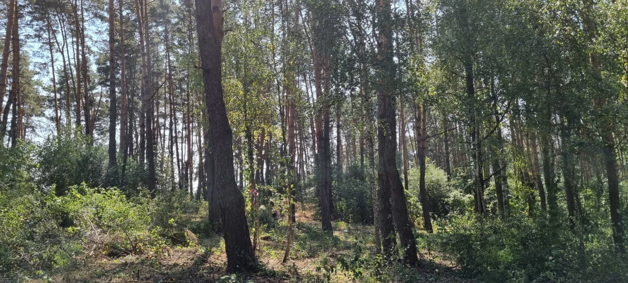 Блиставица 24 сотки
