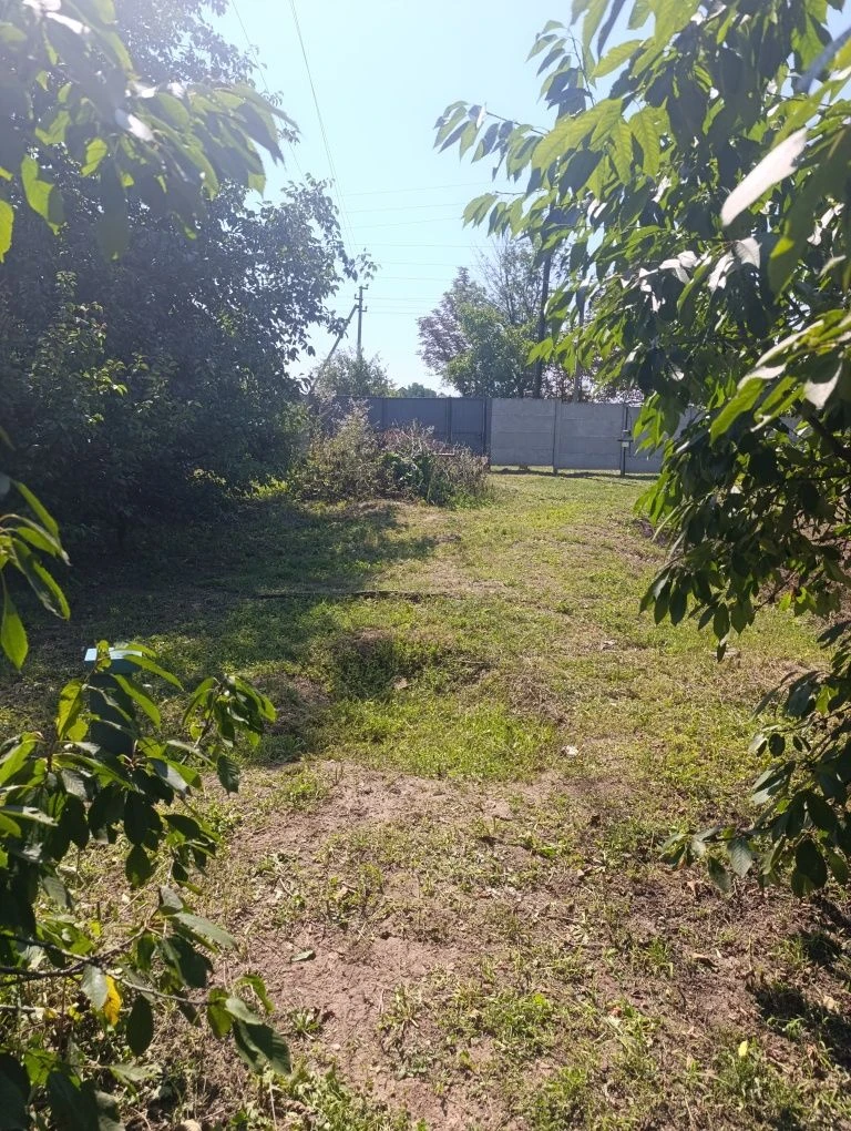 Земельна ділянка