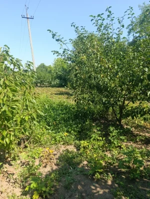 Земельна ділянка