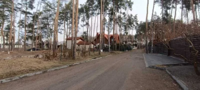 Ділянка серед сосен, 8 соток, нові будинки.