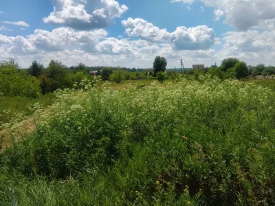Земельна ділянка
