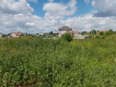 Земельна ділянка