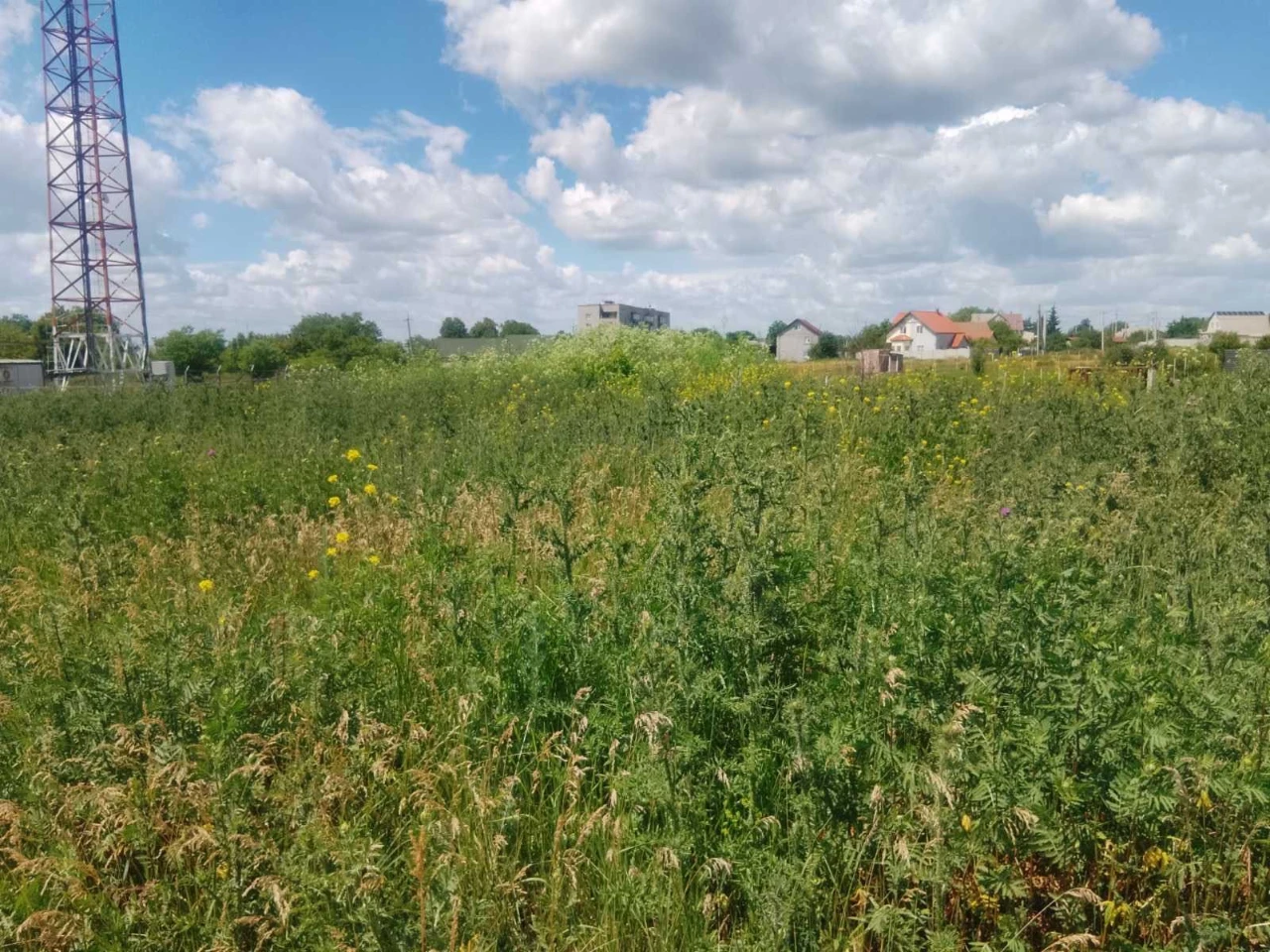 Земельна ділянка