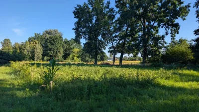 Земельна ділянка 14 соток