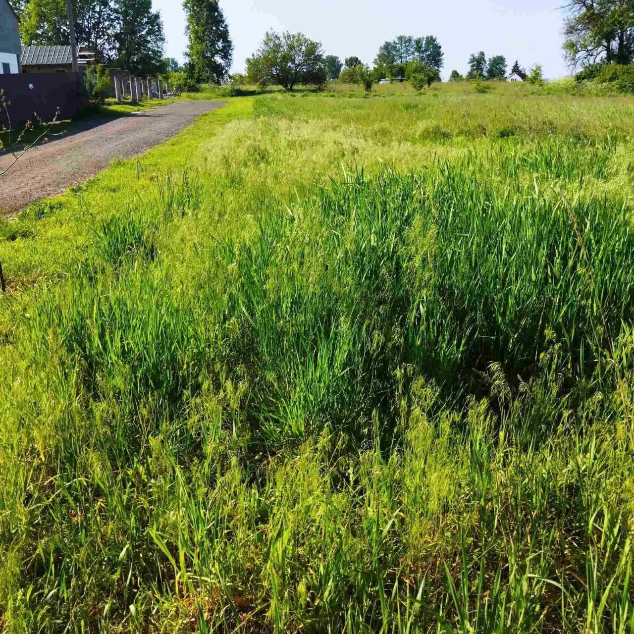 Продаж земельної ділянки
