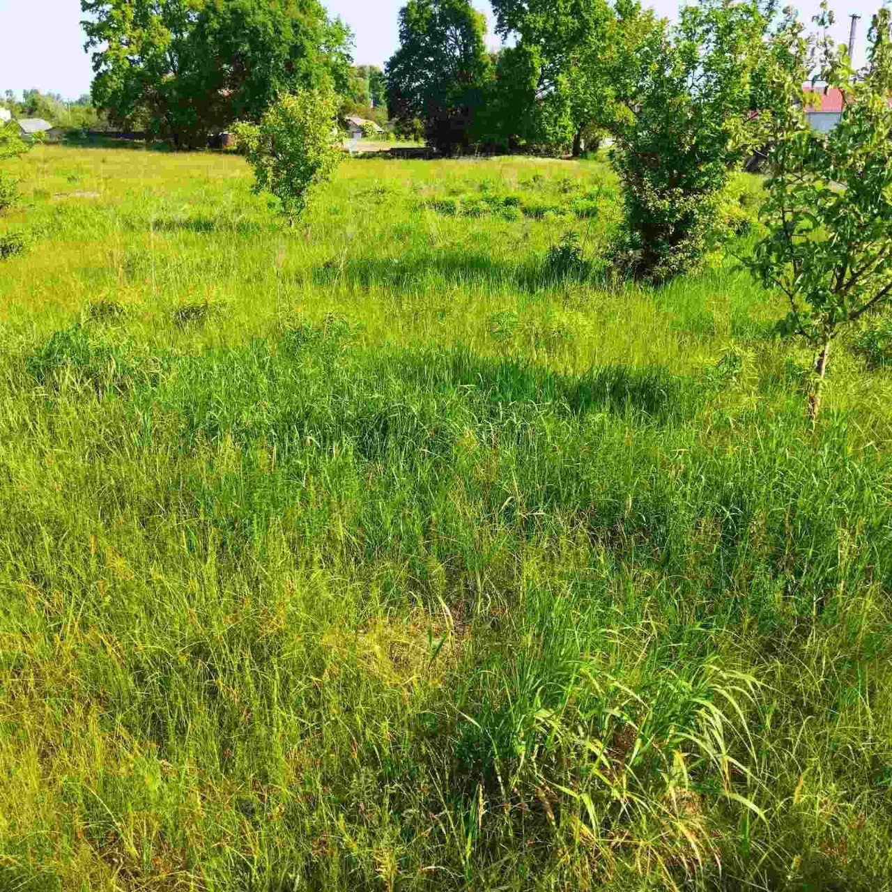 Продаж земельної ділянки