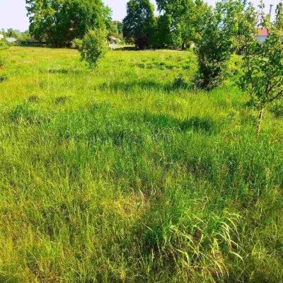 Продаж земельної ділянки