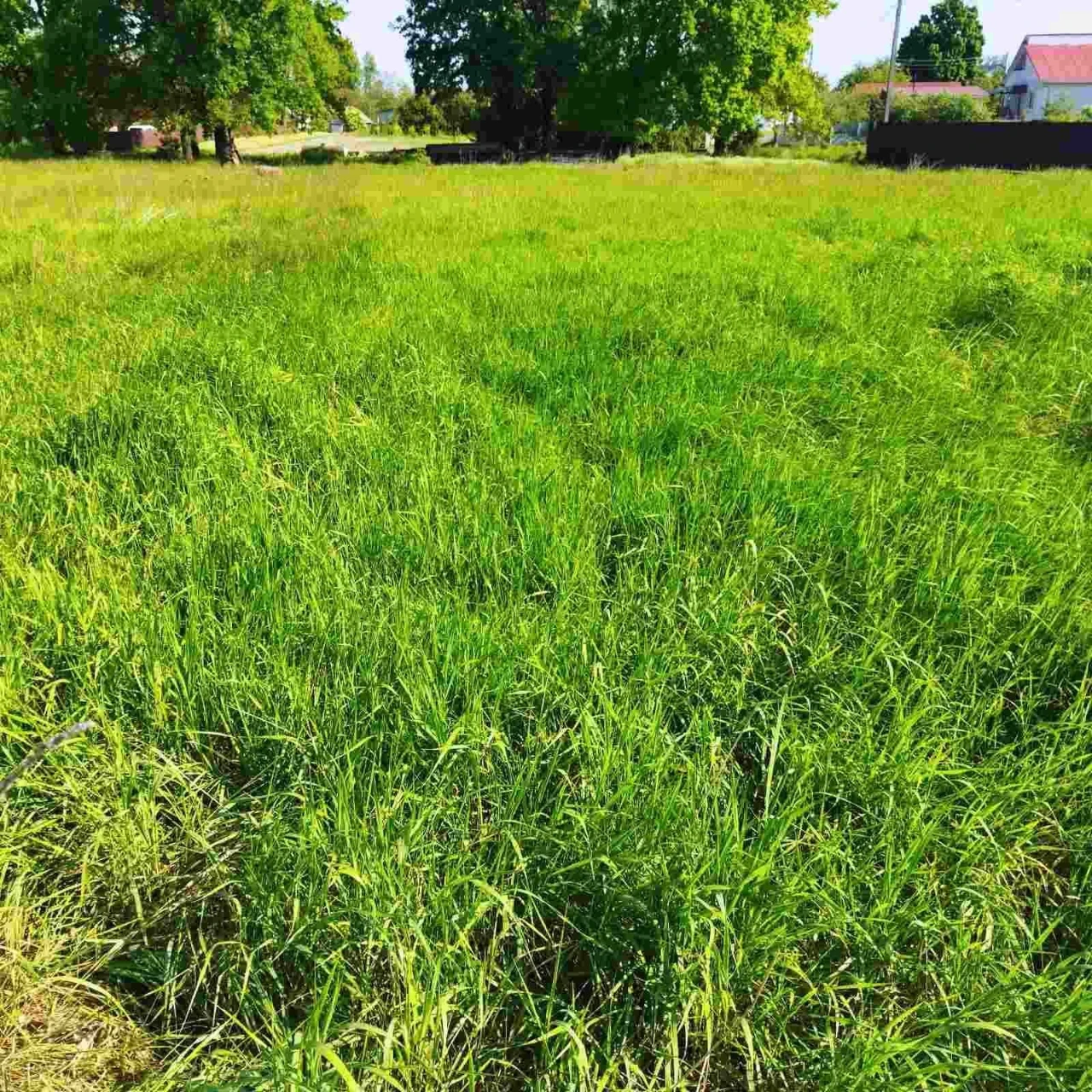 Продаж земельної ділянки