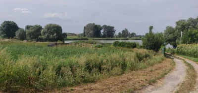 Ділянка 8 соток м. Березань біля озера