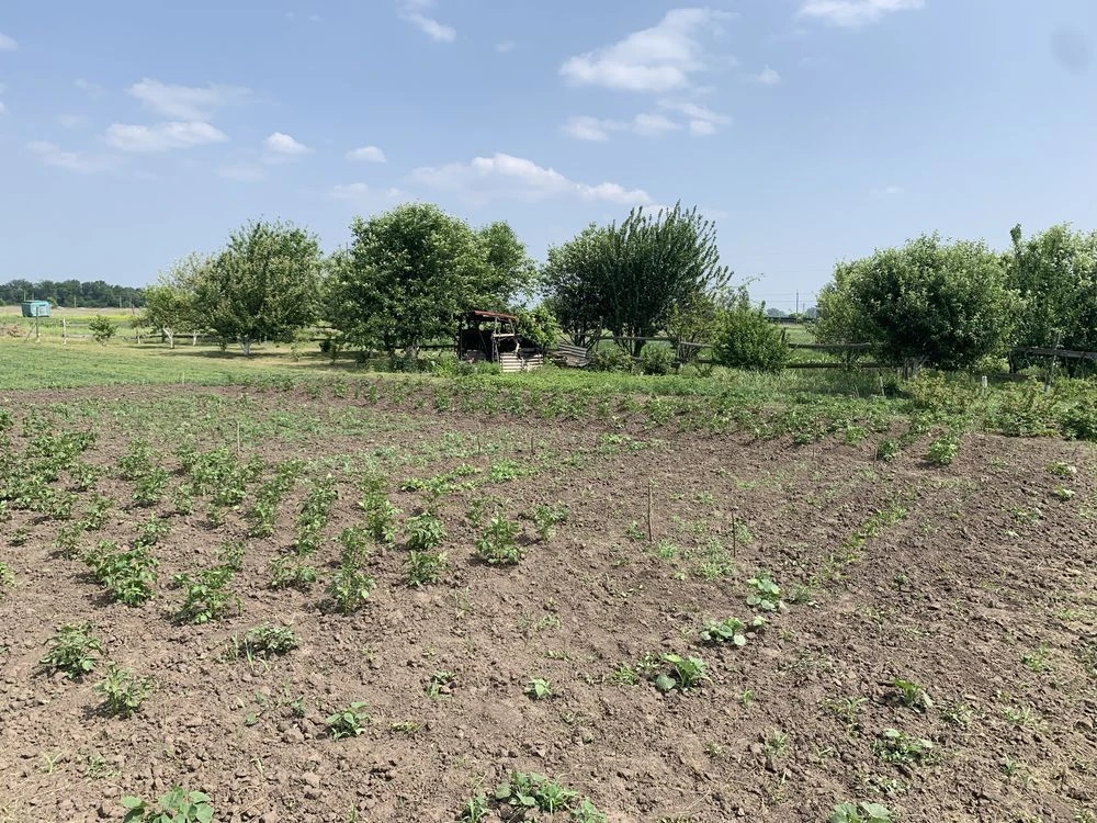 Земельна ділянка з паспортом для будівництва