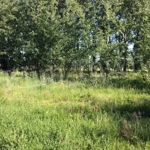 Продається земельна ділянка у м. Березань