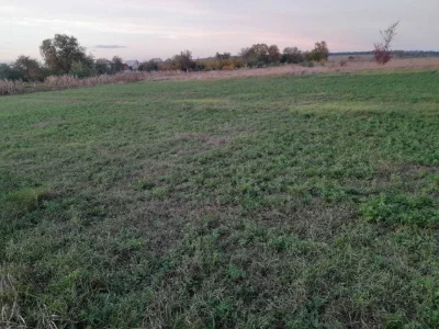 Продам земельну ділянку