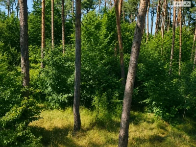 Продаж Ділянка під житлову забудову