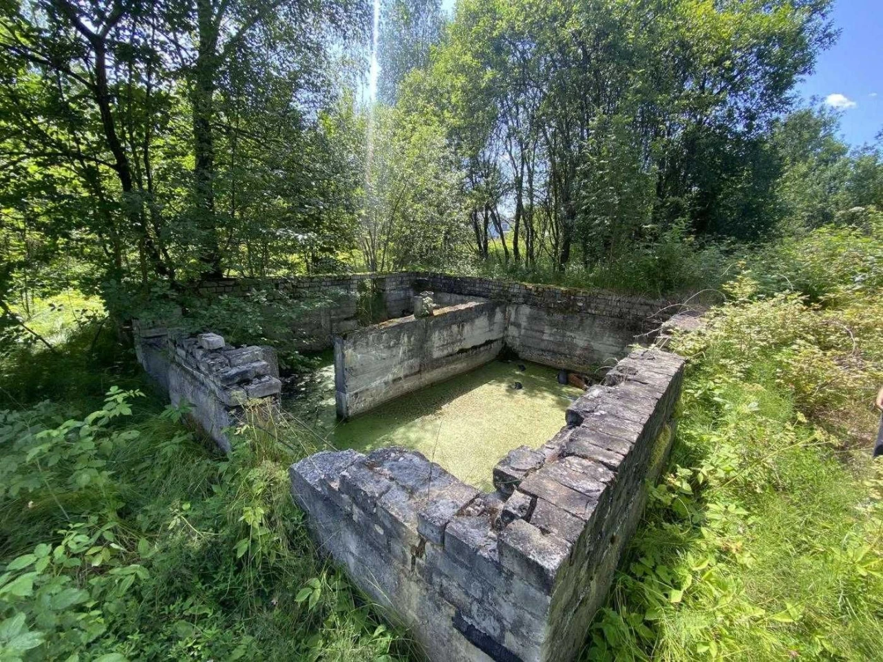 Земля/Садівництво/Моршин/Стрийський район/ Львівська область