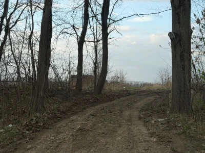 Земельна ділянка 6 сот під забудову в Дублянах. Підведено св