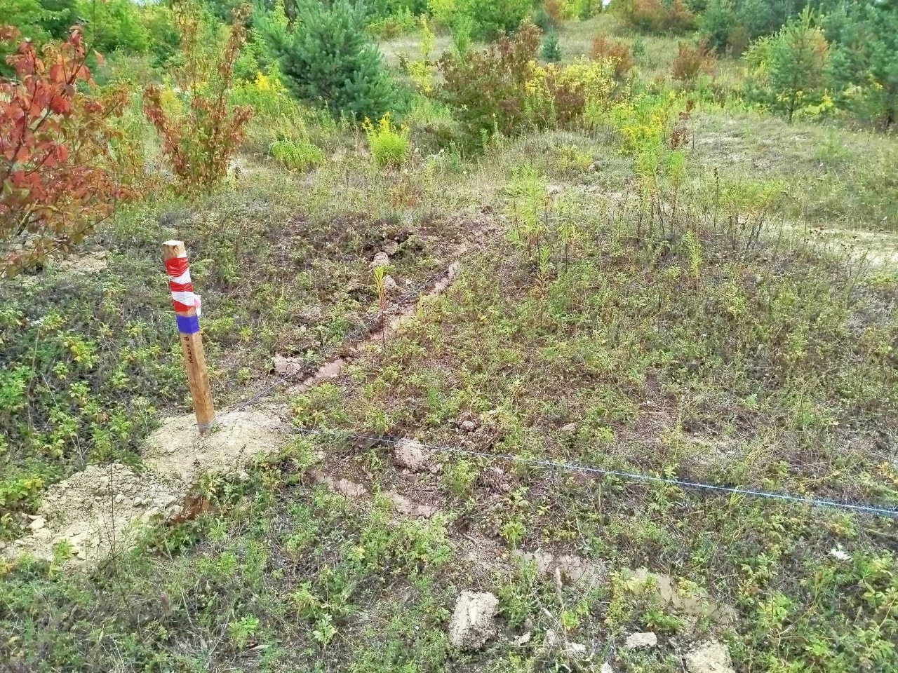 Земельна ділянка