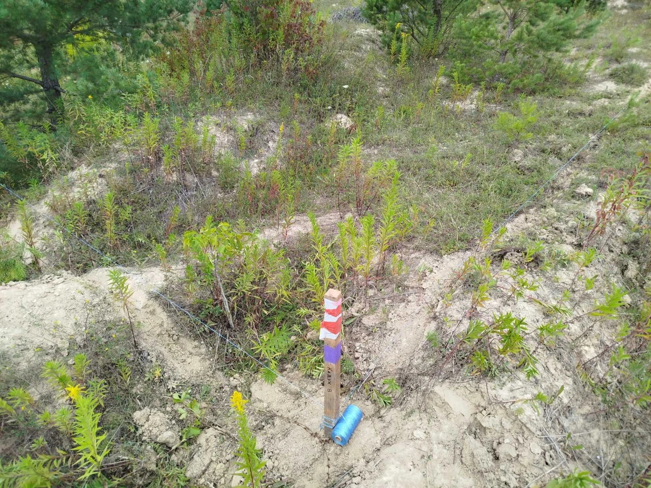Земельна ділянка