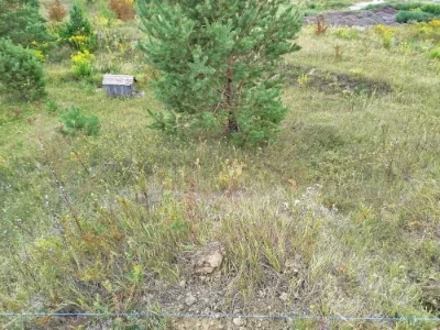 Земельна ділянка