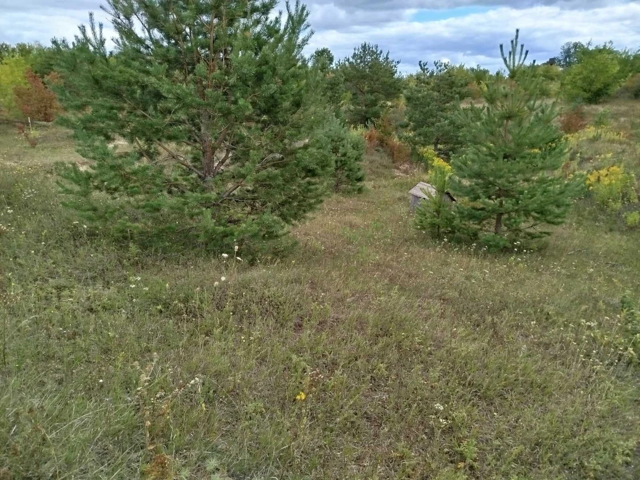 Земельна ділянка