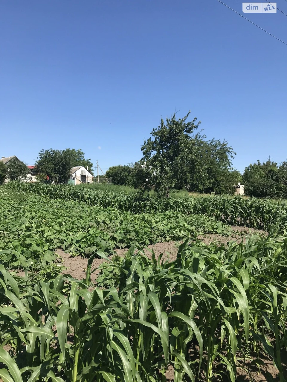 Продаж Ділянка під житлову забудову