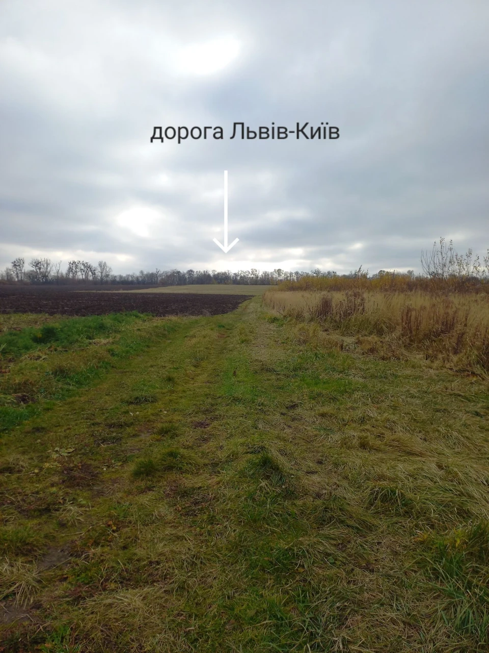 Земельна ділянка