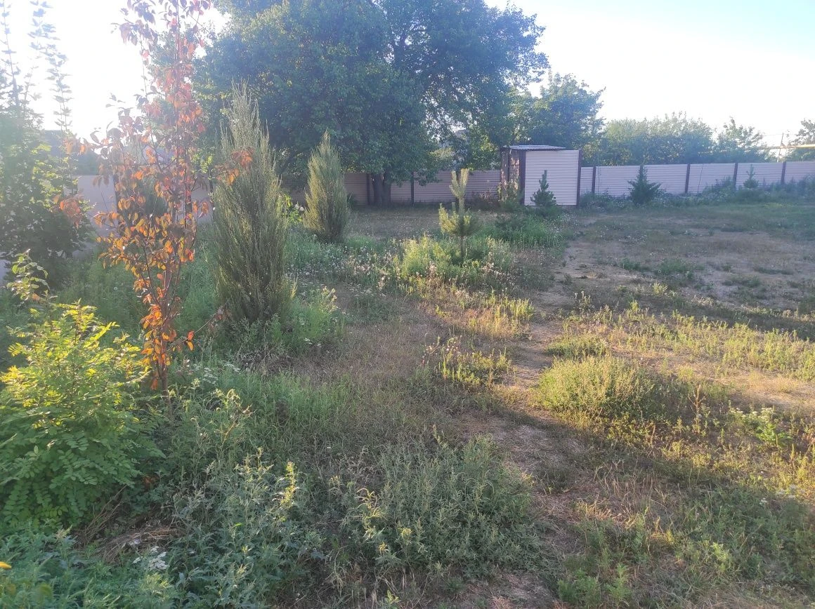 Продам земельный участок , и действующий  магазин.