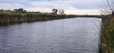 Продам участок в Самаровке под дачу ( загородный дом)