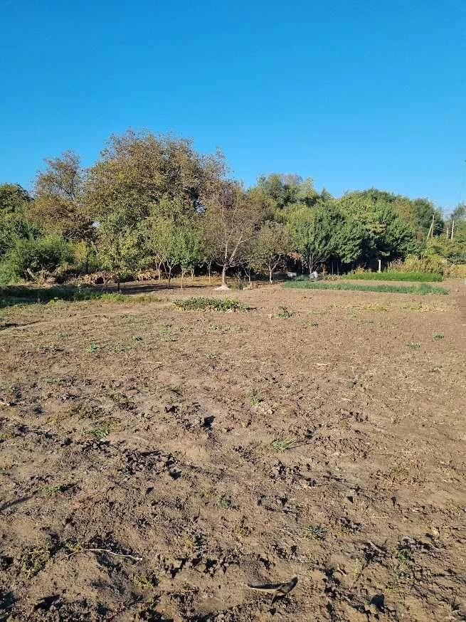 Продаж земельної ділянки 20  (або 35)  соток, Підгородне ( Д