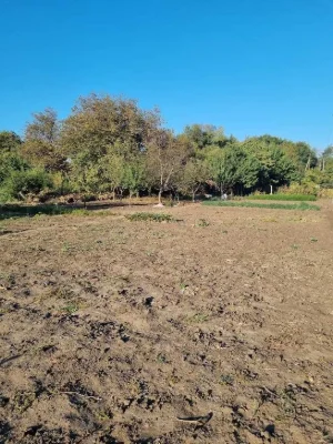 Продаж земельної ділянки 20  (або 35)  соток, Підгородне ( Д