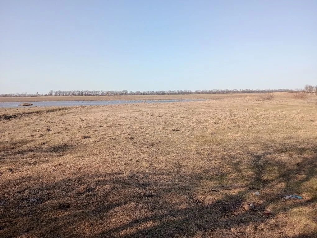 Участок,Ділянка 24.2 сотки