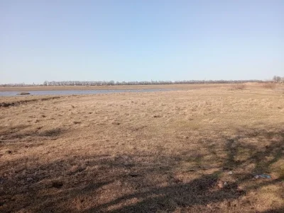 Участок,Ділянка 24.2 сотки
