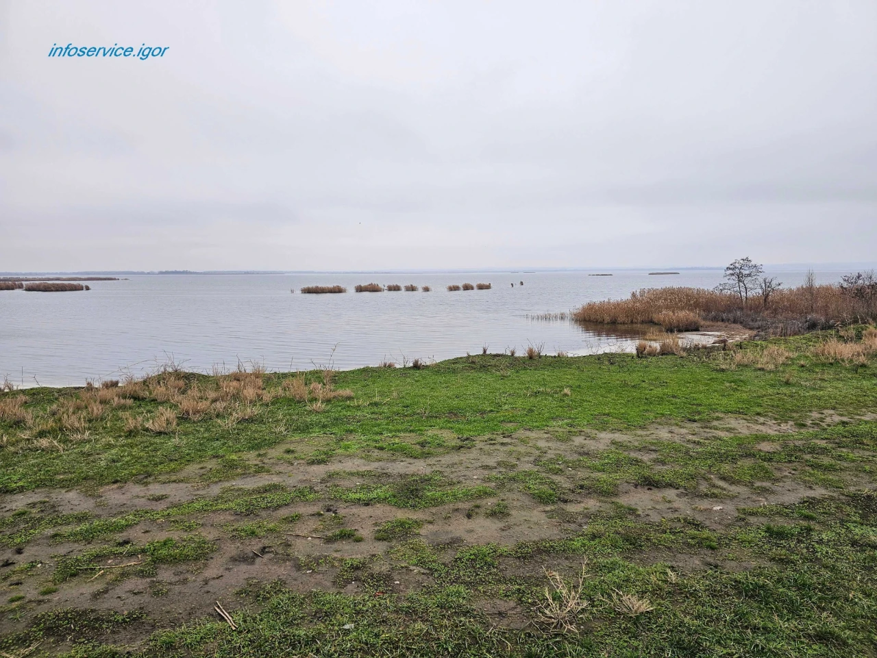 Продам 56 соток із ВЛАСНИМ БЕРЕГОМ біля SunRay (Підгородне)