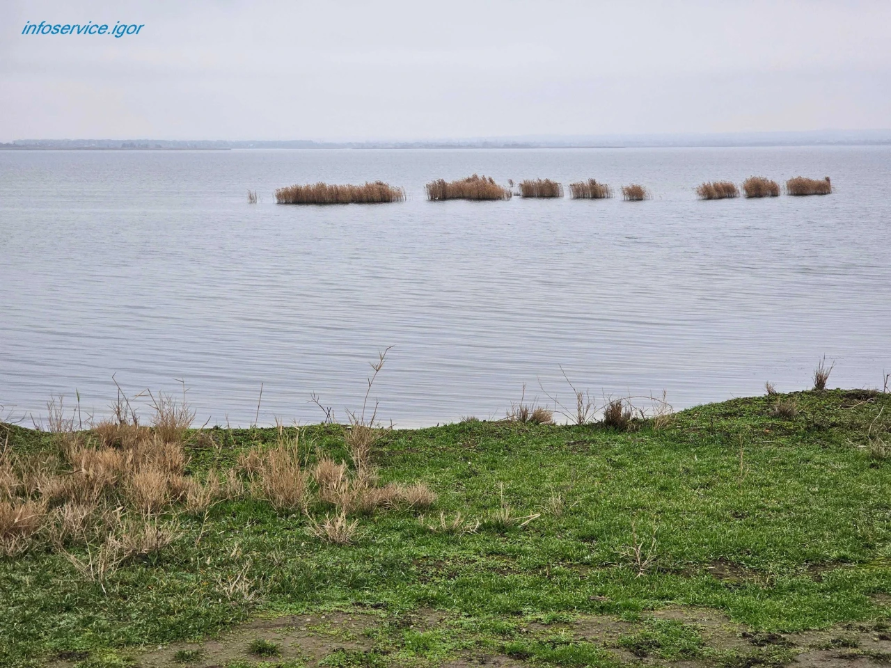 Продам 56 соток із ВЛАСНИМ БЕРЕГОМ біля SunRay (Підгородне)
