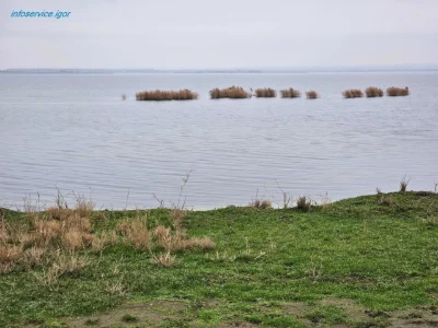 Продам 56 соток із ВЛАСНИМ БЕРЕГОМ біля SunRay (Підгородне)
