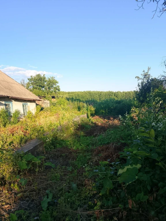 Продам земельну ділянку в місті Узин.