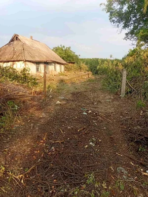 Продам земельну ділянку в місті Узин.