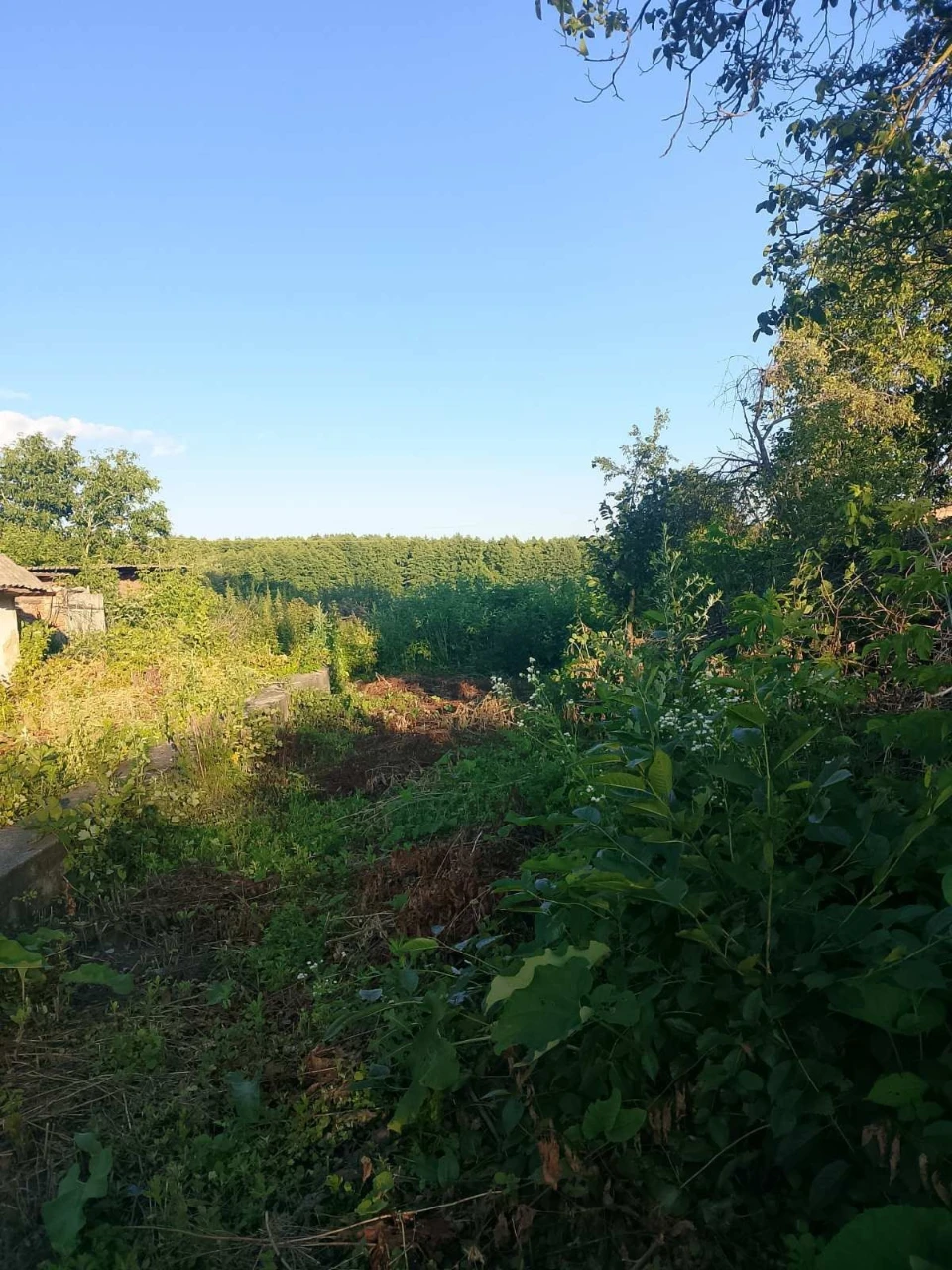 Продам земельну ділянку в місті Узин.