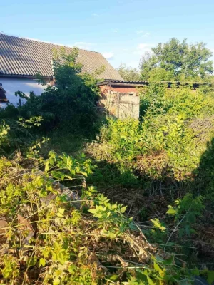 Продам земельну ділянку в місті Узин.