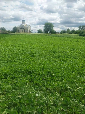 Продам земельну ділянку в місті Узин.