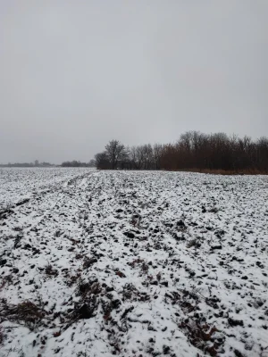 Продам земельну ділянку в місті Узин.