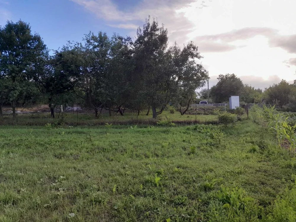 Продається участок Ржищів