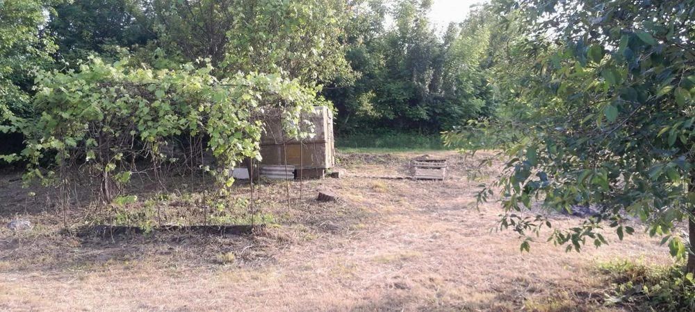 Продається участок Ржищів