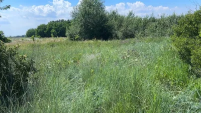 Продаю 30 сот осг з видом на Дніпро, на краю кручі!
