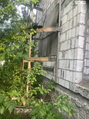 Продаж Ділянка під житлову забудову