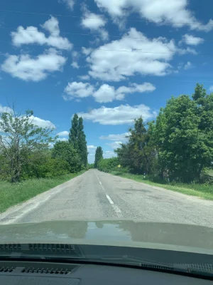 Ділянка 10 соток під забудову, Ржищів, ліс, електрика