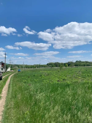 Ділянка 10 соток під забудову, Ржищів, ліс, електрика