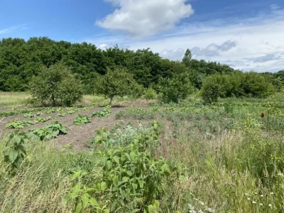 Продам участок в Ржищеві