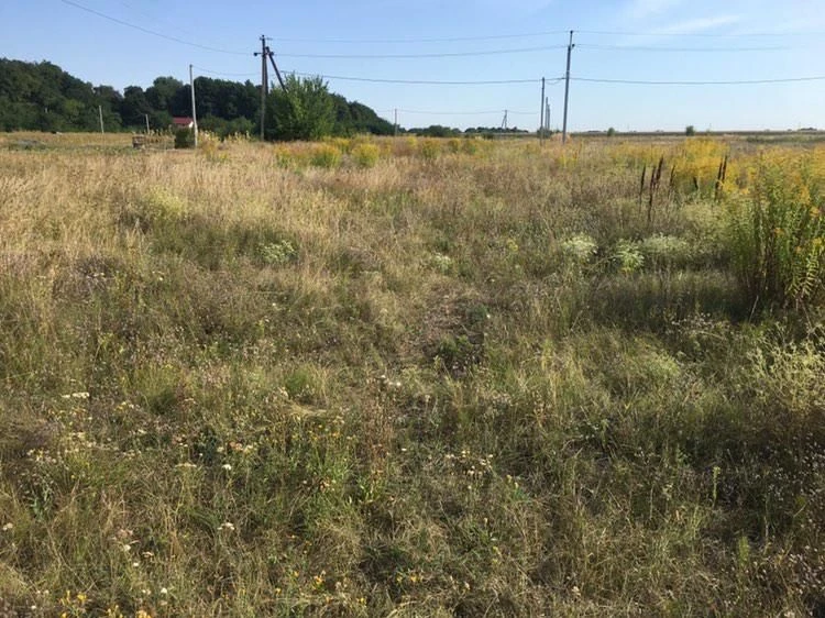 Продам земельну ділянку.