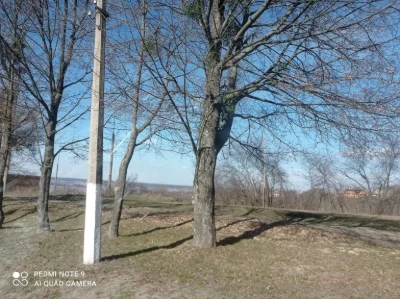 Земельна ділянка Ділянка під забудову Ржищів